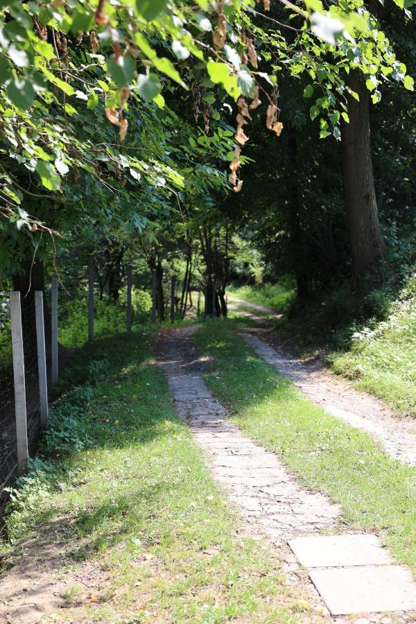 Agroturystyka U Babci Czchow Kültér fotó