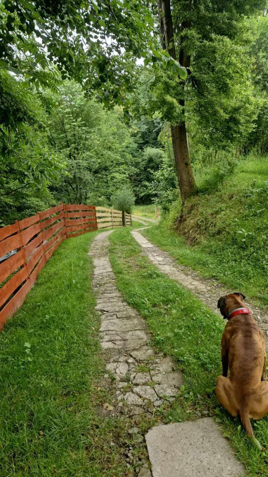 Agroturystyka U Babci Czchow Kültér fotó