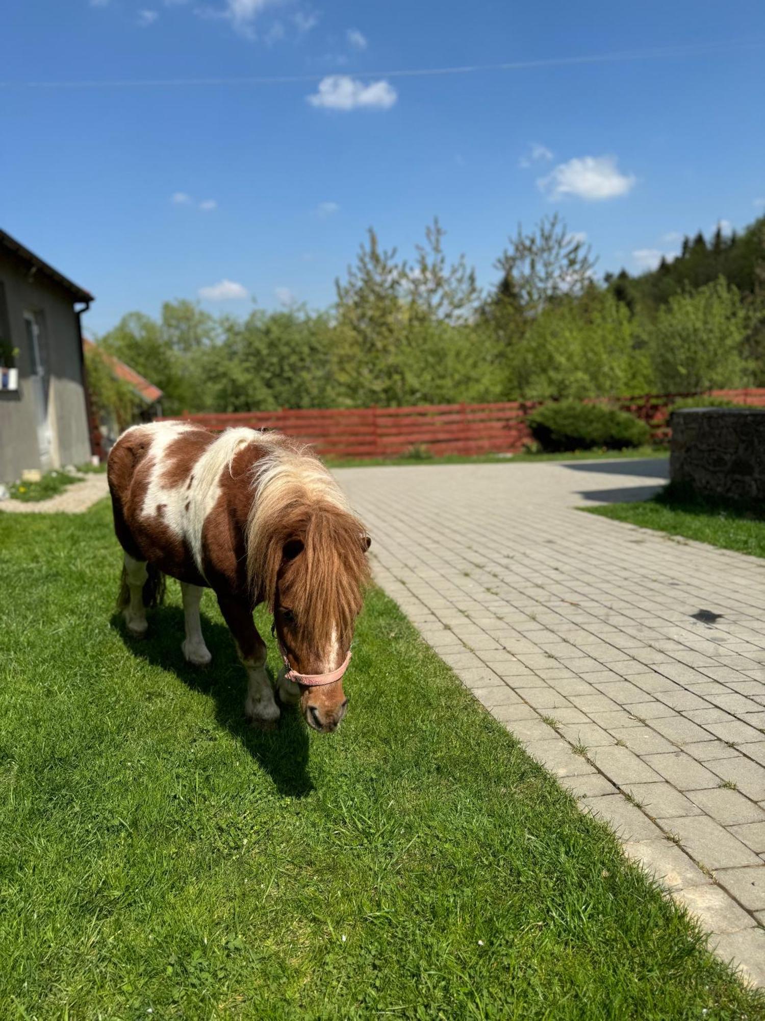 Agroturystyka U Babci Czchow Kültér fotó